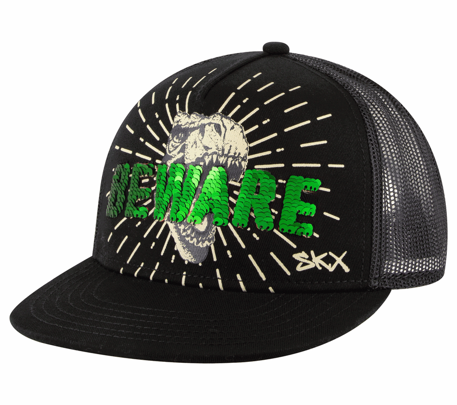 Flip Dino Baseball Hat, BLACK / MULTI, largeimage number 0